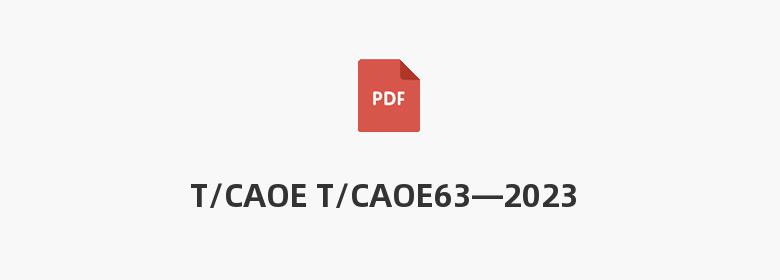 T/CAOE T/CAOE63—2023